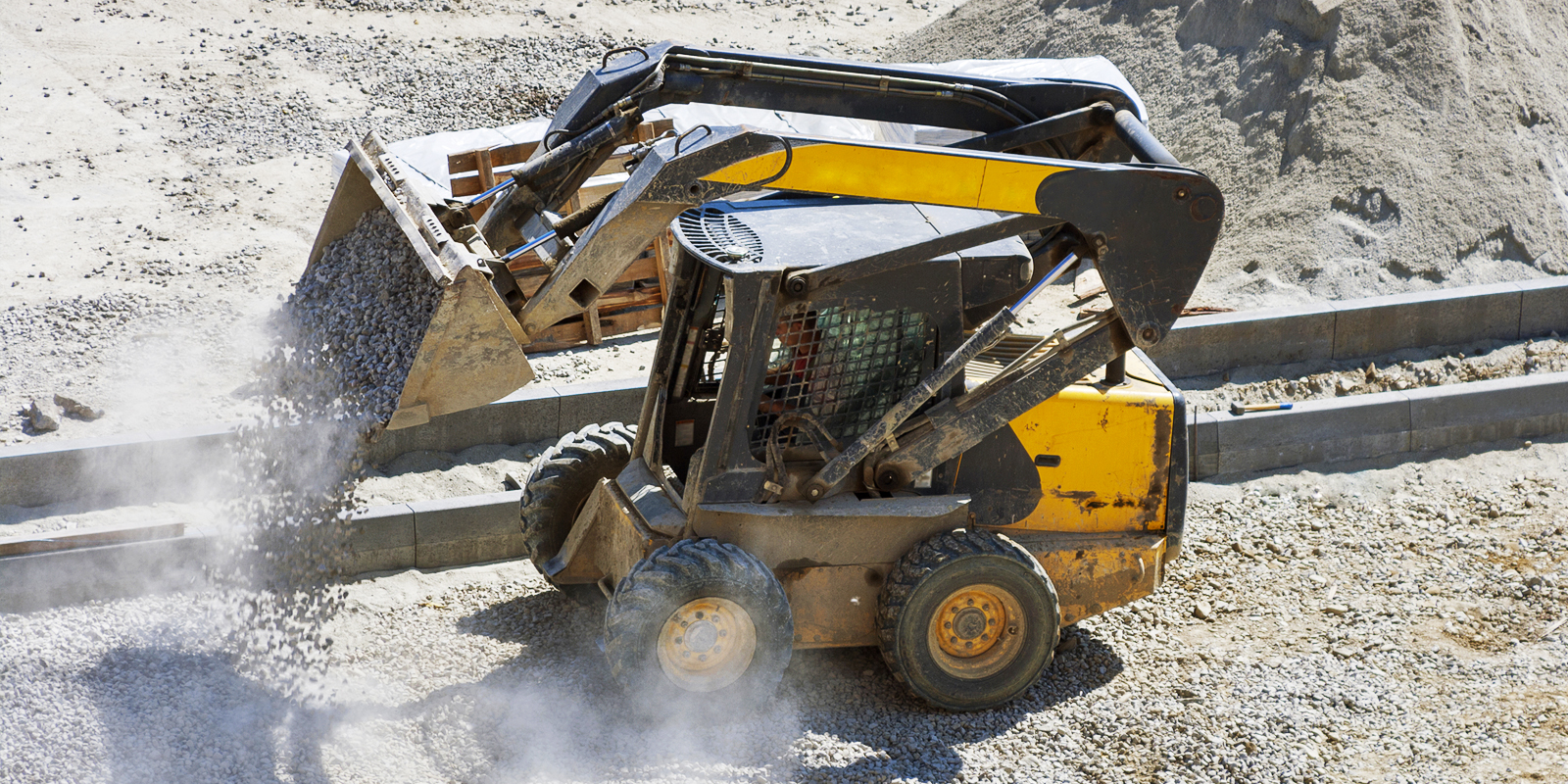 bobcat.jpg